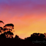 morning glow