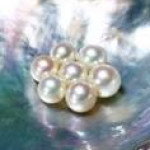 真珠のネックレス‐糸換え