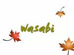 「wasabi」 The Bondi View 2008 Dec Issue掲載