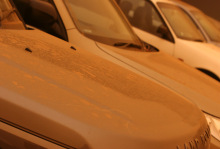 オーストラリア在住ウェディングプランナー・マミィの奮闘記-car dust