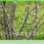 人気の90分コースでゆった～りしませんか