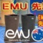 【10月15日までですよ！】　期間限定 “EMU UGGブーツ 先取りセール！！