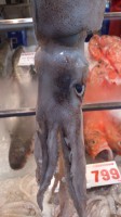 安くておいしいスルメイカ　(^-^)