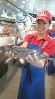 オーストラリアで獲れる人気のお魚 的鯛 鰹編