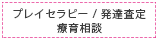 レイセラピー / 発達査定療育相談