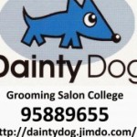 Dainty Dog スクールでの様子です