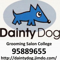 Dainty Dog スクールでの様子です