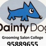 Dainty Dog スクールでの様子です