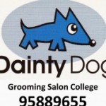 Dainty Dog スクールでの様子です