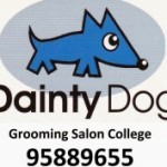 Dainty Dog スクールでの様子です