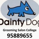 Dainty Dog スクールでの様子です