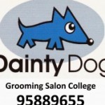 Dainty dog grooming college 卒業生からのメッセージ