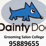 Dainty dog grooming college 6月 生徒募集【お知らせ】