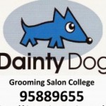 Dainty dog grooming college 入学方法
