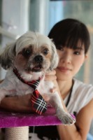 Dainty dog grooming college 卒業生からのメッセージ