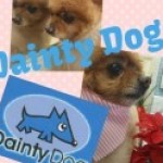 犬体名称とはなにか？Dainty Dog grooming college