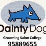 Dainty Dog スクールでの様子です