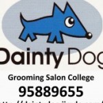 Dainty Dog スクールでの様子です