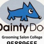 Dainty Dog スクールでの様子です