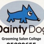 Dainty Dog スクールでの様子です