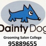 Dainty Dog スクールでの様子です