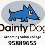 Dainty Dog スクールでの様子です