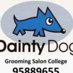 Dainty Dog スクールでの様子です