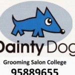 Dainty Dog スクールでの様子です