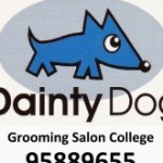 Dainty Dog スクールでの様子です