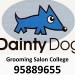 Dainty Dog スクールでの様子です