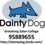 Dainty Dog grooming college学校での授業内容についてです