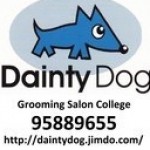Dainty Dog grooming college学校での授業内容についてです