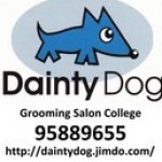 Dainty Dog grooming college Q&A