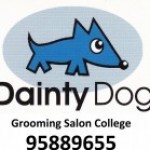 Dainty Dog gorooming college資格情報