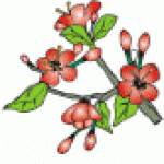 お役立ちワード52　BLOSSOM (n,v)   花、咲く