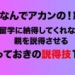 「なんでアカンの！怒」留学に納得してくれない親を説得させるとっておきの説得技10手