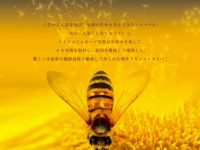 10月のシドニーイベント／こけびー1周年チャリティーイベント「みつばちの大地」上映会