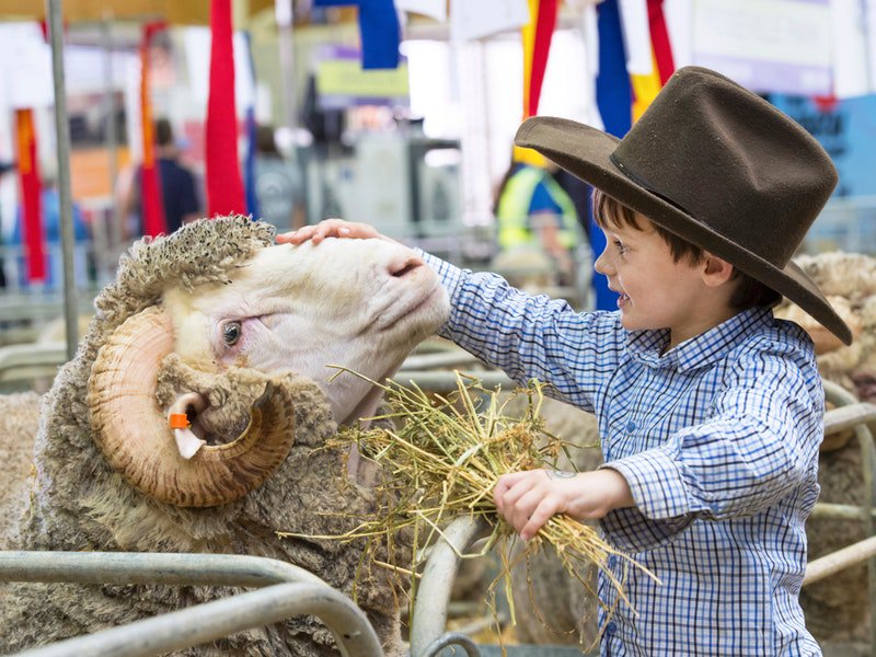 Sydney Royal Easter Show  シドニーローヤルイースターショー | シドニーのイベント情報