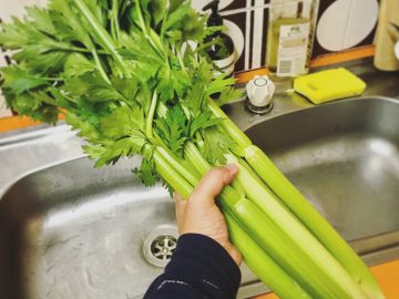 切り身の魚しか知らない子ども、セロリの形を知らない私