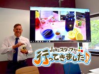 授業料が大学の半額！学士号を取得できるKOIの会計コース♪