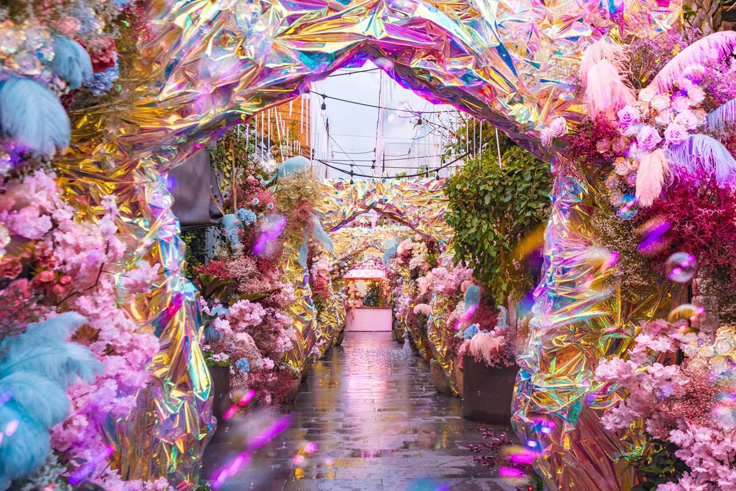 魔法の世界！ The Grounds of Alexandria カフェ紹介 JAMS.TV オーストラリア生活情報ウェブサイト