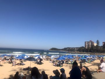 オーストラリアの夏の過ごし方！？BeachでBBQ！
