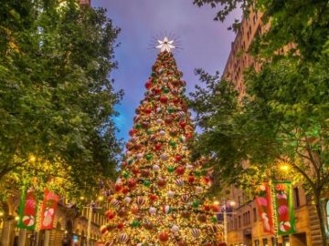 【クリスマス特集】12月のシドニークリスマスマーケットまとめ