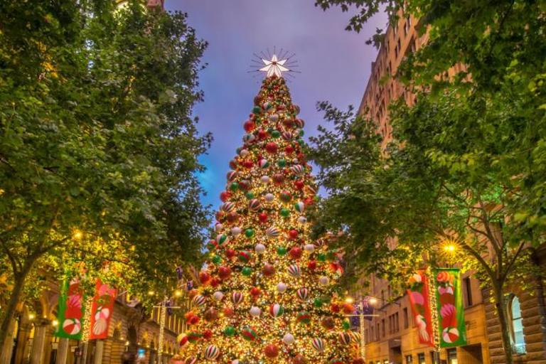 【クリスマス特集】12月のシドニークリスマスマーケットまとめ JAMS.TV オーストラリア生活情報ウェブサイト