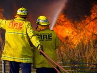 【現状と対策まとめ】オーストラリアで起きている山火事について