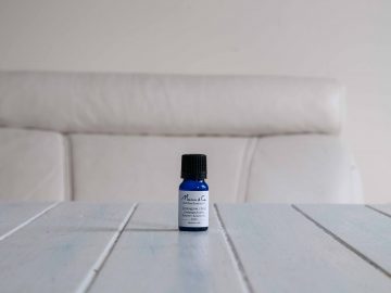 今日からコースが始まります。次回開始は2月4日です。