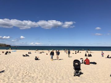 週末のお楽しみ！マーケットについて♪