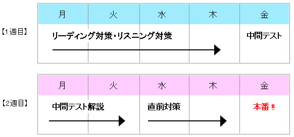 2週間のTOEICコース日程