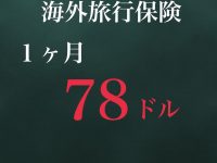 ワーキングホリデー向け保険　1ヶ月７８ドルから