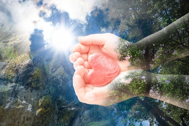 環境問題が学べる今どきの専門学校があります Jams Tv オーストラリア生活情報ウェブサイト